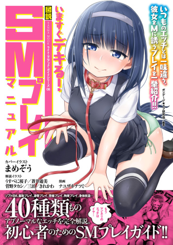 SM play manual cover