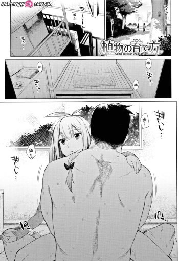 [Mizone] Shokubutsu no Sodatekata | Como cultivar una planta [Spanish] [Decensored][Harenchi no Fansub] [Digital] cover