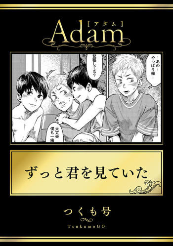 Zutto Kimiwo Miteita cover