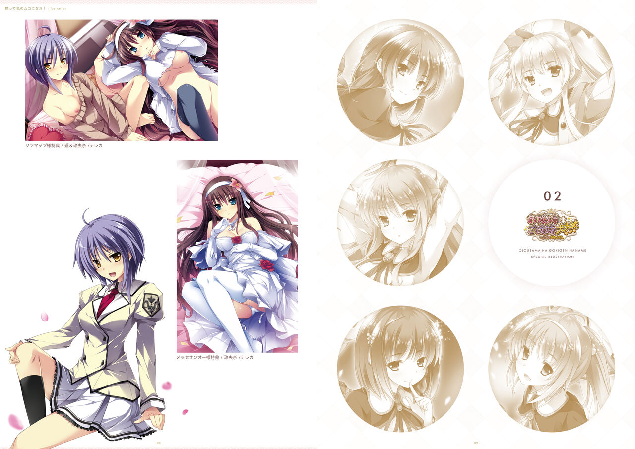 ensemble anniversary Ojousama-Series 10disc set DIGITAL MEMORIAL BOOK page 5 full