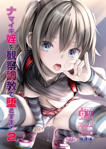 [Kaitsushin (Namamo Nanase)] Namaiki Mei o Kansatsu Choukyou de Otosu Made 2 [Digital] cover