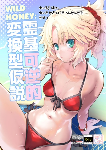 [Peθ (Mozu)] WILD HONEY Reiki Kagyakuteki Henkangata Kasetsu | WILD HONEY: 영기 가역적 변환형 가설 (FateGrand Order) [Korean] [Digital] cover