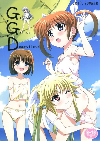 (C92) [Tamagoya (Miyajima Hitoshi)] Gallus.Gallus.Domesticus 2017 SUMMER (Lyrical Nanoha) cover