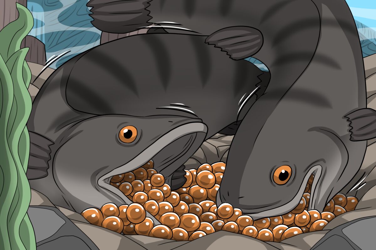 Dick Fish - Page 2 - Comic Porn XXX