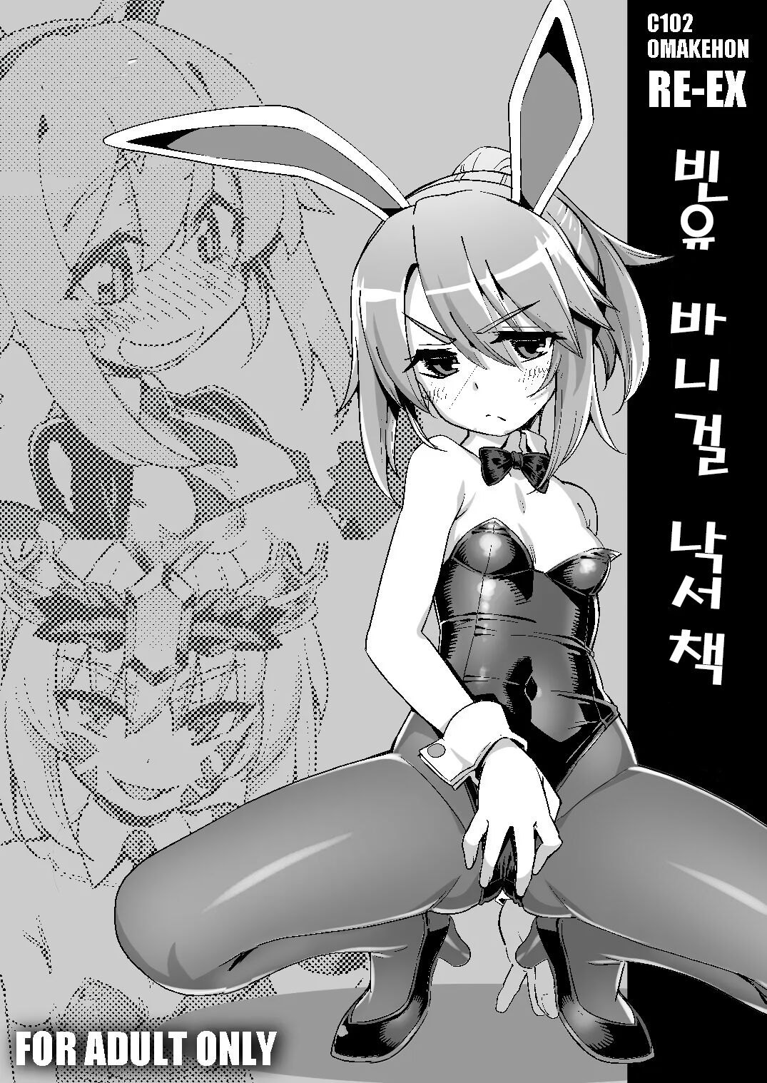 RE-EX Chippai Bunny na Rakugaki Hon | RE-EX 빈유 바니걸 낙서책 page 1 full