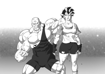 Videl vs Spopovich cover
