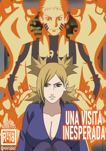 [NinRubio] UNA VISITA INESPERADA [Spanish] cover