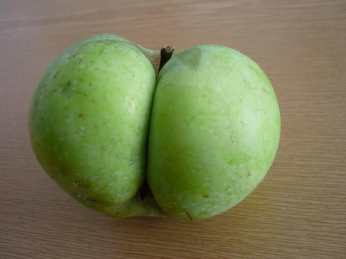 Granny Smith Apple page 1 full