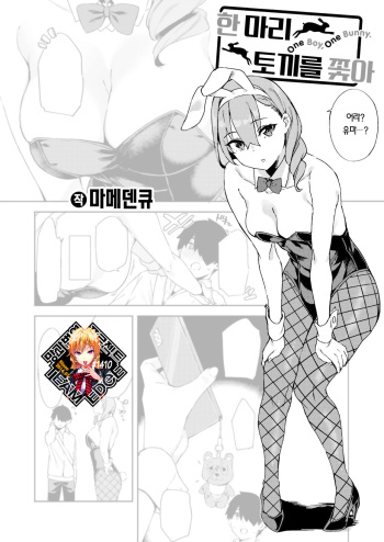 [Mame Denkyuu] Itto o Oikakete | 한 마리 토끼를 쫓아 (COMIC X-EROS #103) [Korean] [Team Edge] [Decensored] [Digital] cover