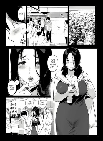 [NANIMOSHINAI (Sasamori Tomoe)] Gaming Harem 4 [Digital] [Korean] cover