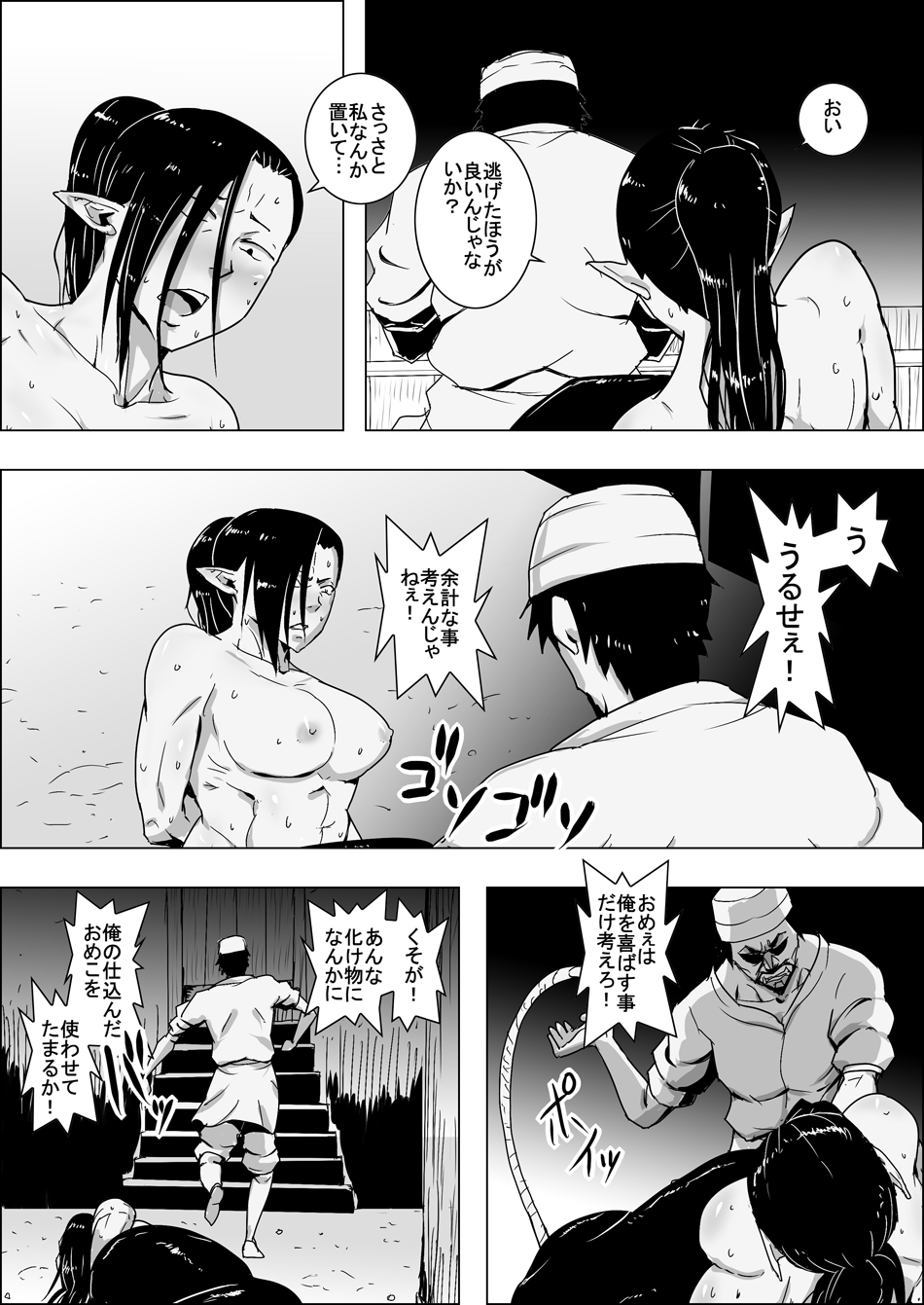 Mada Daimei Nonai Fantaji Ningyo no Onnasenshi to Touzoku no Otoko 4 page 7 full