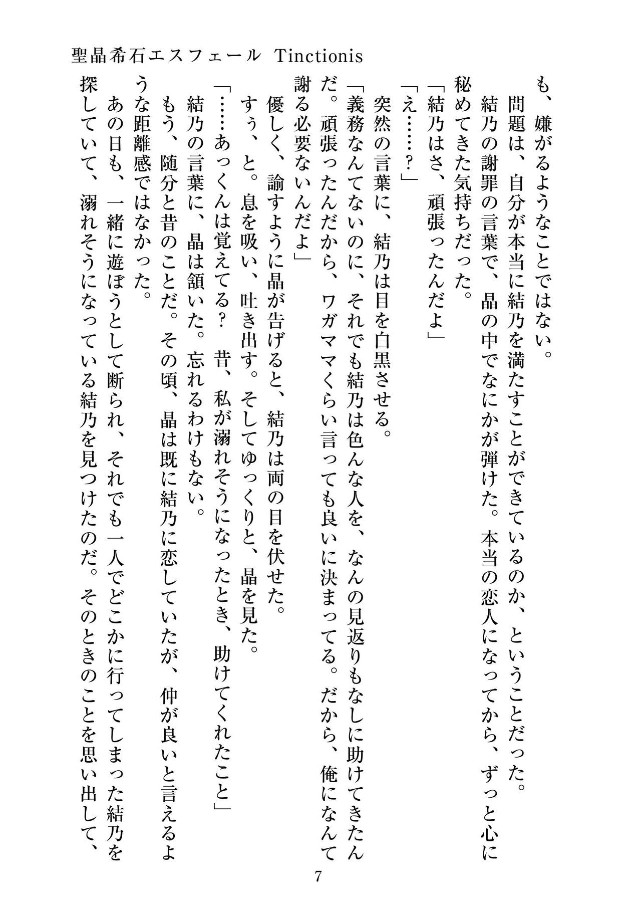 聖晶希石エスフェール Tinctionis page 8 full