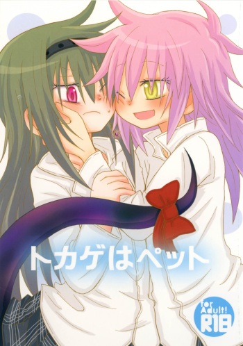 (Mou Nanimo Kowaku Nai 17) [ROUTE885 (8)] Tokage wa Pet (Puella Magi Madoka Magica) cover