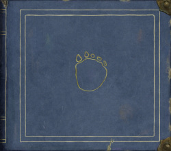 Primordial Lands Upaiai